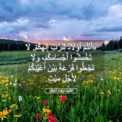Picture 05 - اَلتَّثْنِيَة 14:1 AVD - «أَنْتُمْ أَوْلَادٌ - Bible Verse Picture