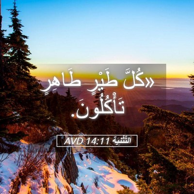 Picture 05 - اَلتَّثْنِيَة 14:11 AVD - «كُلَّ طَيْرٍ طَاهِرٍ - Bible Verse Picture