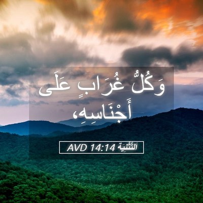 Picture 05 - اَلتَّثْنِيَة 14:14 AVD - وَكُلُّ غُرَابٍ عَلَى - Bible Verse Picture
