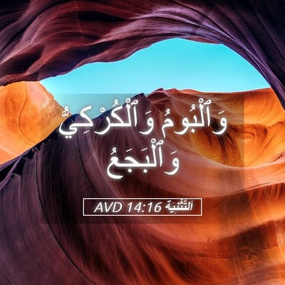Picture 05 - اَلتَّثْنِيَة 14:16 AVD - وَٱلْبُومُ وَٱلْكُرْكِيُّ - Bible Verse Picture