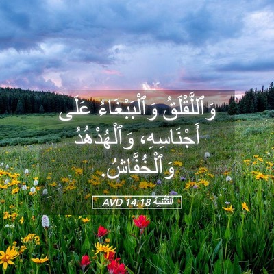 Picture 05 - اَلتَّثْنِيَة 14:18 AVD - وَٱللَّقْلَقُ - Bible Verse Picture