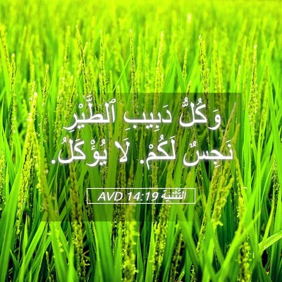 Picture 05 - اَلتَّثْنِيَة 14:19 AVD - وَكُلُّ دَبِيبِ ٱلطَّيْرِ - Bible Verse Picture