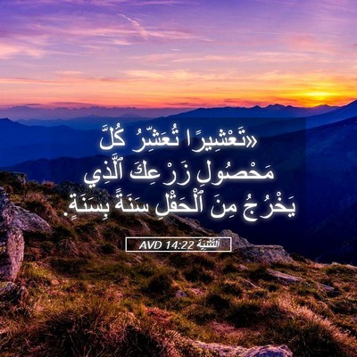 Picture 05 - اَلتَّثْنِيَة 14:22 AVD - «تَعْشِيرًا تُعَشِّرُ - Bible Verse Picture