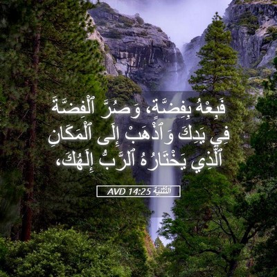 Picture 05 - اَلتَّثْنِيَة 14:25 AVD - فَبِعْهُ بِفِضَّةٍ، - Bible Verse Picture