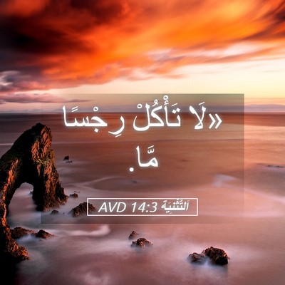 Picture 05 - اَلتَّثْنِيَة 14:3 AVD - «لَا تَأْكُلْ رِجْسًا - Bible Verse Picture