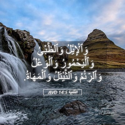 Picture 05 - اَلتَّثْنِيَة 14:5 AVD - وَٱلْإِيَّلُ وَٱلظَّبْيُ - Bible Verse Picture