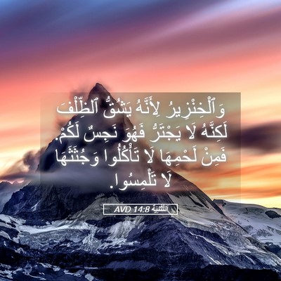Picture 05 - اَلتَّثْنِيَة 14:8 AVD - وَٱلْخِنْزِيرُ لِأَنَّهُ - Bible Verse Picture