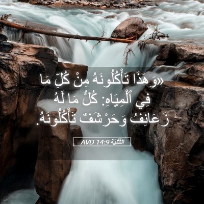 Picture 05 - اَلتَّثْنِيَة 14:9 AVD - «وَهَذَا تَأْكُلُونَهُ - Bible Verse Picture