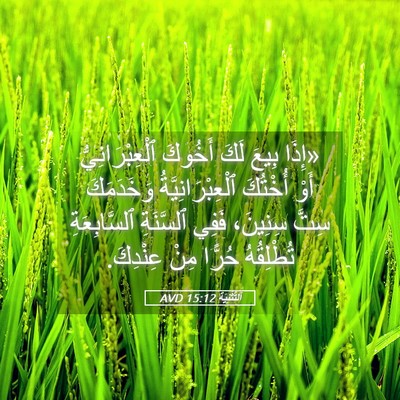 Picture 05 - اَلتَّثْنِيَة 15:12 AVD - «إِذَا بِيعَ لَكَ أَخُوكَ - Bible Verse Picture