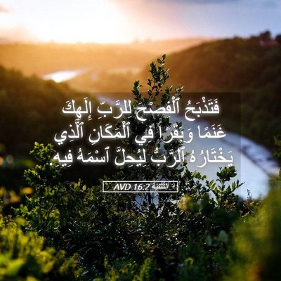 Picture 05 - اَلتَّثْنِيَة 16:2 AVD - فَتَذْبَحُ ٱلْفِصْحَ - Bible Verse Picture