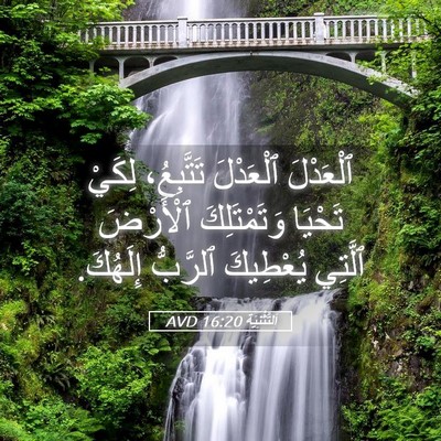 Picture 05 - اَلتَّثْنِيَة 16:20 AVD - ٱلْعَدْلَ ٱلْعَدْلَ - Bible Verse Picture