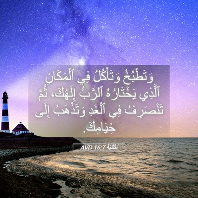 Picture 05 - اَلتَّثْنِيَة 16:7 AVD - وَتَطْبُخُ وَتَأْكُلُ فِي - Bible Verse Picture