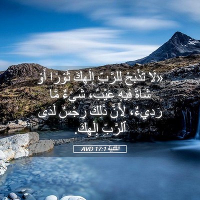 Picture 05 - اَلتَّثْنِيَة 17:1 AVD - «لَا تَذْبَحْ لِلرَّبِّ - Bible Verse Picture