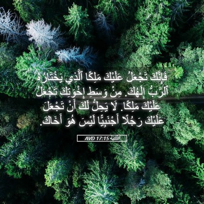Picture 05 - اَلتَّثْنِيَة 17:15 AVD - فَإِنَّكَ تَجْعَلُ - Bible Verse Picture