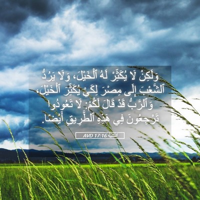 Picture 05 - اَلتَّثْنِيَة 17:16 AVD - وَلَكِنْ لَا يُكَثِّرْ - Bible Verse Picture