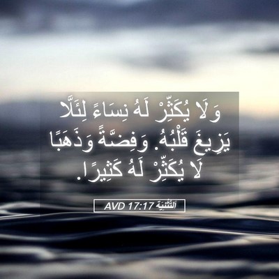 Picture 05 - اَلتَّثْنِيَة 17:17 AVD - وَلَا يُكَثِّرْ لَهُ - Bible Verse Picture