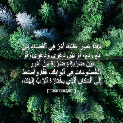 Picture 05 - اَلتَّثْنِيَة 17:8 AVD - «إِذَا عَسِرَ عَلَيْكَ - Bible Verse Picture