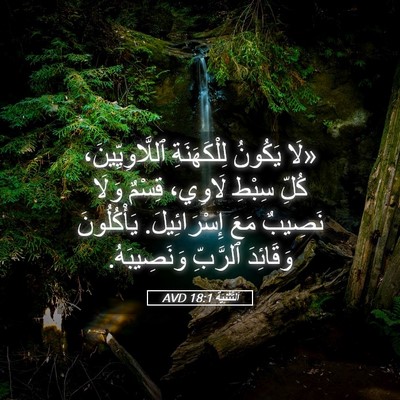 Picture 05 - اَلتَّثْنِيَة 18:1 AVD - «لَا يَكُونُ لِلْكَهَنَةِ - Bible Verse Picture