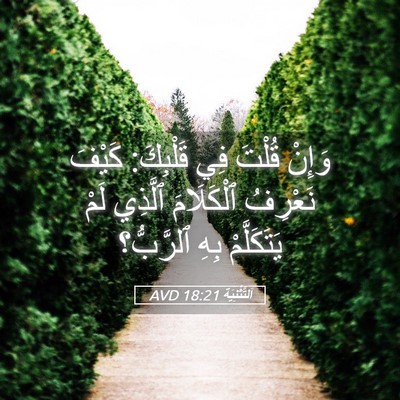 Picture 05 - اَلتَّثْنِيَة 18:21 AVD - وَإِنْ قُلْتَ فِي - Bible Verse Picture