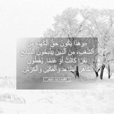 Picture 05 - اَلتَّثْنِيَة 18:3 AVD - «وَهَذَا يَكُونُ حَقُّ - Bible Verse Picture