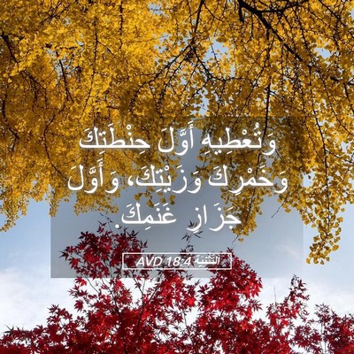 Picture 05 - اَلتَّثْنِيَة 18:4 AVD - وَتُعْطِيهِ أَوَّلَ - Bible Verse Picture