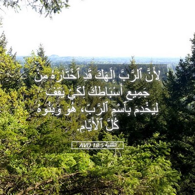 Picture 05 - اَلتَّثْنِيَة 18:5 AVD - لِأَنَّ ٱلرَّبَّ إِلَهَكَ - Bible Verse Picture