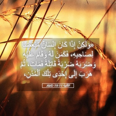 Picture 05 - اَلتَّثْنِيَة 19:11 AVD - «وَلَكِنْ إِذَا كَانَ - Bible Verse Picture