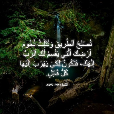 Picture 05 - اَلتَّثْنِيَة 19:3 AVD - تُصْلِحُ ٱلطَّرِيقَ - Bible Verse Picture