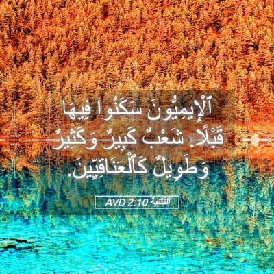 Picture 05 - اَلتَّثْنِيَة 2:10 AVD - ٱلْإِيمِيُّونَ سَكَنُوا - Bible Verse Picture