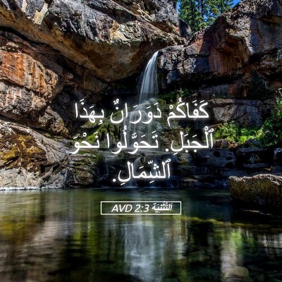 Picture 05 - اَلتَّثْنِيَة 2:3 AVD - كَفَاكُمْ دَوَرَانٌ - Bible Verse Picture