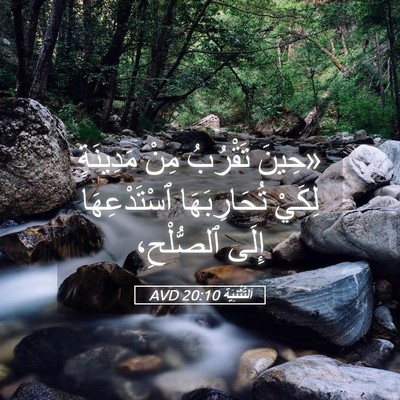 Picture 05 - اَلتَّثْنِيَة 20:10 AVD - «حِينَ تَقْرُبُ مِنْ - Bible Verse Picture