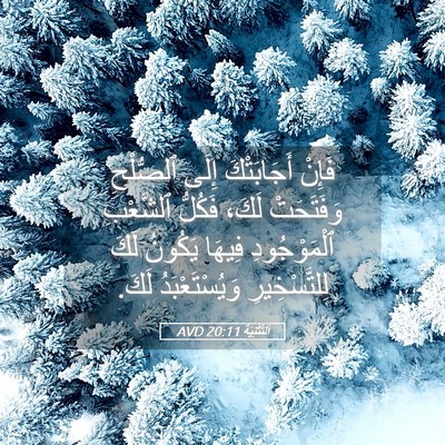 Picture 05 - اَلتَّثْنِيَة 20:11 AVD - فَإِنْ أَجَابَتْكَ إِلَى - Bible Verse Picture