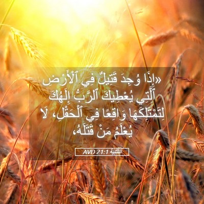 Picture 05 - اَلتَّثْنِيَة 21:1 AVD - «إِذَا وُجِدَ قَتِيلٌ فِي - Bible Verse Picture
