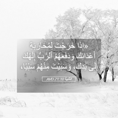 Picture 05 - اَلتَّثْنِيَة 21:10 AVD - «إِذَا خَرَجْتَ - Bible Verse Picture