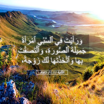 Picture 05 - اَلتَّثْنِيَة 21:11 AVD - وَرَأَيْتَ فِي ٱلسَّبْيِ - Bible Verse Picture