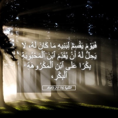 Picture 05 - اَلتَّثْنِيَة 21:16 AVD - فَيَوْمَ يَقْسِمُ - Bible Verse Picture