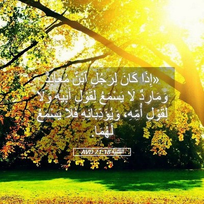 Picture 05 - اَلتَّثْنِيَة 21:18 AVD - «إِذَا كَانَ لِرَجُلٍ - Bible Verse Picture