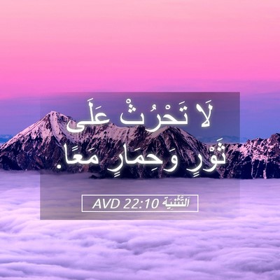 Picture 05 - اَلتَّثْنِيَة 22:10 AVD - لَا تَحْرُثْ عَلَى ثَوْرٍ - Bible Verse Picture