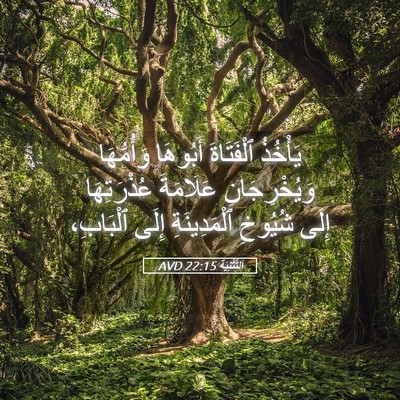 Picture 05 - اَلتَّثْنِيَة 22:15 AVD - يَأْخُذُ ٱلْفَتَاةَ - Bible Verse Picture