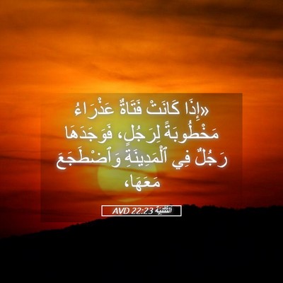Picture 05 - اَلتَّثْنِيَة 22:23 AVD - «إِذَا كَانَتْ فَتَاةٌ - Bible Verse Picture
