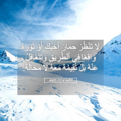 Picture 05 - اَلتَّثْنِيَة 22:4 AVD - لَا تَنْظُرْ حِمَارَ - Bible Verse Picture