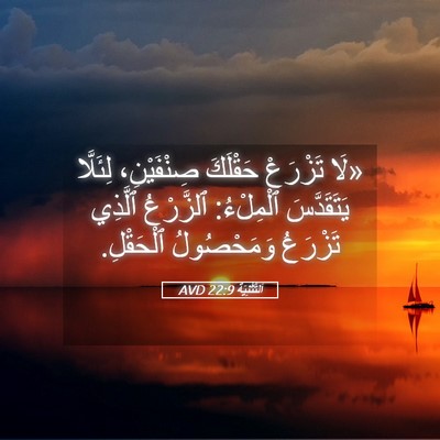 Picture 05 - اَلتَّثْنِيَة 22:9 AVD - «لَا تَزْرَعْ حَقْلَكَ - Bible Verse Picture