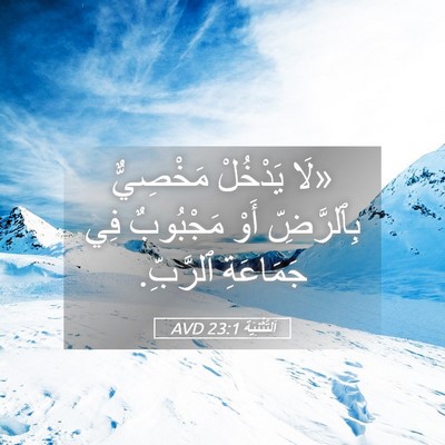 Picture 05 - اَلتَّثْنِيَة 23:1 AVD - «لَا يَدْخُلْ مَخْصِيٌّ - Bible Verse Picture