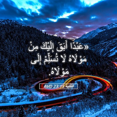 Picture 05 - اَلتَّثْنِيَة 23:15 AVD - «عَبْدًا أَبَقَ إِلَيْكَ - Bible Verse Picture