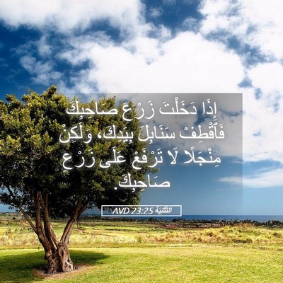 Picture 05 - اَلتَّثْنِيَة 23:25 AVD - إِذَا دَخَلْتَ زَرْعَ - Bible Verse Picture