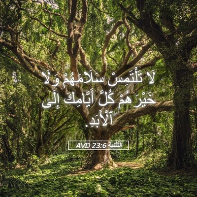 Picture 05 - اَلتَّثْنِيَة 23:6 AVD - لَا تَلْتَمِسْ - Bible Verse Picture