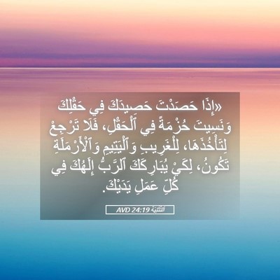 Picture 05 - اَلتَّثْنِيَة 24:19 AVD - «إِذَا حَصَدْتَ حَصِيدَكَ - Bible Verse Picture