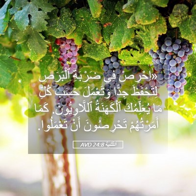 Picture 05 - اَلتَّثْنِيَة 24:8 AVD - «اِحْرِصْ فِي ضَرْبَةِ - Bible Verse Picture