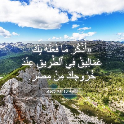 Picture 05 - اَلتَّثْنِيَة 25:17 AVD - «اُذْكُرْ مَا فَعَلَهُ - Bible Verse Picture