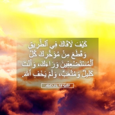 Picture 05 - اَلتَّثْنِيَة 25:18 AVD - كَيْفَ لَاقَاكَ فِي - Bible Verse Picture